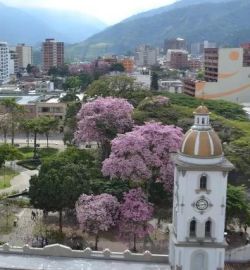 Ibagué Dr Eduardo Estupiñan Odontologo Ibague Colombia